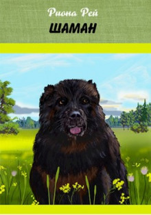 Шаман - Риона Рей - Лучшие аудиокниги слушать онлайн бесплатно Новые аудиокниги mp3 (мп3) на сайте mp3-knigi-audio.com