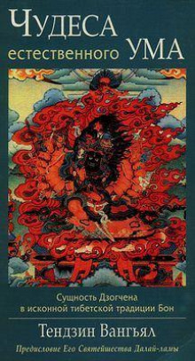 Чудеса естественного ума - Тензин Ринпоче - Лучшие аудиокниги слушать онлайн бесплатно Новые аудиокниги mp3 (мп3) на сайте mp3-knigi-audio.com
