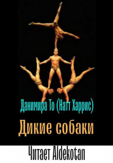 Дикие собаки - Данимира То (Натт Харрис) - Лучшие аудиокниги слушать онлайн бесплатно Новые аудиокниги mp3 (мп3) на сайте mp3-knigi-audio.com