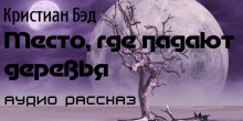 Место, где падают деревья - Кристиан Бэд - Лучшие аудиокниги слушать онлайн бесплатно Новые аудиокниги mp3 (мп3) на сайте mp3-knigi-audio.com