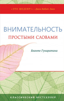 Простыми словами о внимательности. Руководство по медитации випассаны - Хенепола Гунаратана - Лучшие аудиокниги слушать онлайн бесплатно Новые аудиокниги mp3 (мп3) на сайте mp3-knigi-audio.com