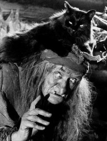 Таких не берут в Бабки Ежки - Александра Свидерская - Лучшие аудиокниги слушать онлайн бесплатно Новые аудиокниги mp3 (мп3) на сайте mp3-knigi-audio.com