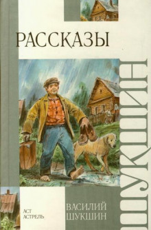За Быстрянским лесом - Василий Шукшин - Лучшие аудиокниги слушать онлайн бесплатно Новые аудиокниги mp3 (мп3) на сайте mp3-knigi-audio.com