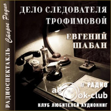 Дело следователя Трофимовой - Евгений Шабан - Лучшие аудиокниги слушать онлайн бесплатно Новые аудиокниги mp3 (мп3) на сайте mp3-knigi-audio.com