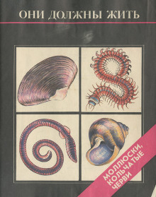 Они должны жить. Моллюски, кольчатые черви - Надежда Кочетова - Лучшие аудиокниги слушать онлайн бесплатно Новые аудиокниги mp3 (мп3) на сайте mp3-knigi-audio.com