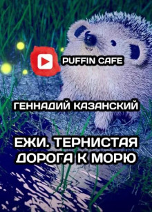 Ежи. Тернистая дорога к морю - Геннадий Казанский - Лучшие аудиокниги слушать онлайн бесплатно Новые аудиокниги mp3 (мп3) на сайте mp3-knigi-audio.com