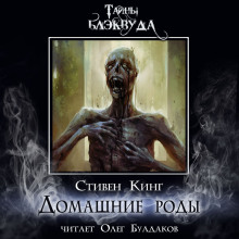 Домашние роды - Стивен Кинг - Лучшие аудиокниги слушать онлайн бесплатно Новые аудиокниги mp3 (мп3) на сайте mp3-knigi-audio.com
