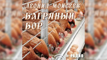 Багряный бор - Леонид Моисеев - Лучшие аудиокниги слушать онлайн бесплатно Новые аудиокниги mp3 (мп3) на сайте mp3-knigi-audio.com