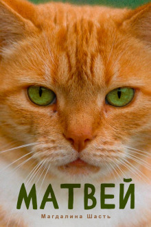 Матвей - Магдалина Шасть - Лучшие аудиокниги слушать онлайн бесплатно Новые аудиокниги mp3 (мп3) на сайте mp3-knigi-audio.com