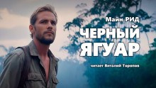 Черный ягуар - Томас Майн Рид - Лучшие аудиокниги слушать онлайн бесплатно Новые аудиокниги mp3 (мп3) на сайте mp3-knigi-audio.com