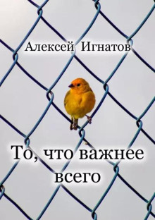 То, что важнее всего - Алексей Игнатов - Лучшие аудиокниги слушать онлайн бесплатно Новые аудиокниги mp3 (мп3) на сайте mp3-knigi-audio.com