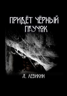 Придёт чёрный паучок - Алексей Левикин - Лучшие аудиокниги слушать онлайн бесплатно Новые аудиокниги mp3 (мп3) на сайте mp3-knigi-audio.com