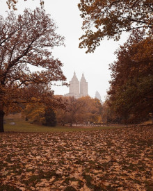 Фараон и хорал - Генри О. - Лучшие аудиокниги слушать онлайн бесплатно Новые аудиокниги mp3 (мп3) на сайте mp3-knigi-audio.com