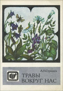 Травы вокруг нас - Александр Стрижев - Лучшие аудиокниги слушать онлайн бесплатно Новые аудиокниги mp3 (мп3) на сайте mp3-knigi-audio.com