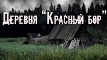 Деревня «Красный бор» - Юлия Скоркина - Лучшие аудиокниги слушать онлайн бесплатно Новые аудиокниги mp3 (мп3) на сайте mp3-knigi-audio.com