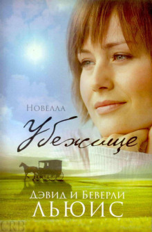 Убежище - Льюис Дэвид - Лучшие аудиокниги слушать онлайн бесплатно Новые аудиокниги mp3 (мп3) на сайте mp3-knigi-audio.com