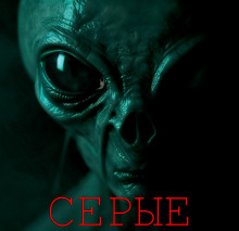 Серые - Алексей Грибанов - Лучшие аудиокниги слушать онлайн бесплатно Новые аудиокниги mp3 (мп3) на сайте mp3-knigi-audio.com