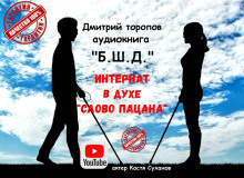Б.Ш.Д. - Дмитрий Торопов - Лучшие аудиокниги слушать онлайн бесплатно Новые аудиокниги mp3 (мп3) на сайте mp3-knigi-audio.com