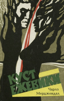 Куст ежевики - Чарлз Мерджендал - Лучшие аудиокниги слушать онлайн бесплатно Новые аудиокниги mp3 (мп3) на сайте mp3-knigi-audio.com