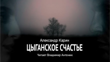 Цыганское счастье - Александр Карин - Лучшие аудиокниги слушать онлайн бесплатно Новые аудиокниги mp3 (мп3) на сайте mp3-knigi-audio.com