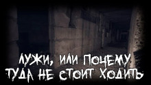 Лужи, или почему туда не стоит ходить - Lewmarna - Лучшие аудиокниги слушать онлайн бесплатно Новые аудиокниги mp3 (мп3) на сайте mp3-knigi-audio.com