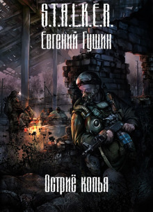 S.T.A.L.K.E.R. Острие копья - Евгений Гущин - Лучшие аудиокниги слушать онлайн бесплатно Новые аудиокниги mp3 (мп3) на сайте mp3-knigi-audio.com