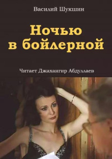 Ночью в бойлерной - Василий Шукшин - Лучшие аудиокниги слушать онлайн бесплатно Новые аудиокниги mp3 (мп3) на сайте mp3-knigi-audio.com