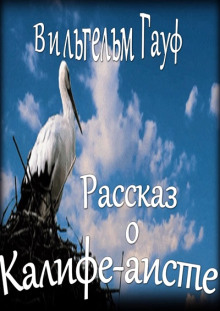 История о Калифе-Аисте - Вильгельм Гауф - Лучшие аудиокниги слушать онлайн бесплатно Новые аудиокниги mp3 (мп3) на сайте mp3-knigi-audio.com