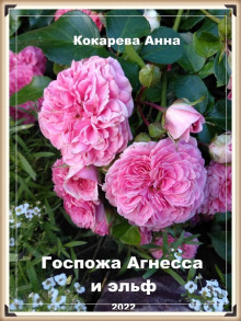 Госпожа Агнесса и эльф - Анна Кокарева - Лучшие аудиокниги слушать онлайн бесплатно Новые аудиокниги mp3 (мп3) на сайте mp3-knigi-audio.com