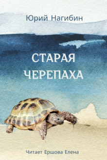 Старая черепаха - Юрий Нагибин - Лучшие аудиокниги слушать онлайн бесплатно Новые аудиокниги mp3 (мп3) на сайте mp3-knigi-audio.com