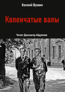 Коленчатые валы - Василий Шукшин - Лучшие аудиокниги слушать онлайн бесплатно Новые аудиокниги mp3 (мп3) на сайте mp3-knigi-audio.com