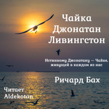 Чайка по имени Джонатан Ливингстон - Ричард Бах - Лучшие аудиокниги слушать онлайн бесплатно Новые аудиокниги mp3 (мп3) на сайте mp3-knigi-audio.com