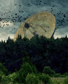 Птичьи стаи - Роман Чёрный - Лучшие аудиокниги слушать онлайн бесплатно Новые аудиокниги mp3 (мп3) на сайте mp3-knigi-audio.com