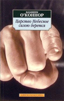 Царство Небесное силою берётся - Фланнери О' - Лучшие аудиокниги слушать онлайн бесплатно Новые аудиокниги mp3 (мп3) на сайте mp3-knigi-audio.com