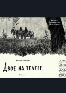 Двое на телеге - Василий Шукшин - Лучшие аудиокниги слушать онлайн бесплатно Новые аудиокниги mp3 (мп3) на сайте mp3-knigi-audio.com