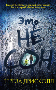 Это не сон - Тереза Дрисколл - Лучшие аудиокниги слушать онлайн бесплатно Новые аудиокниги mp3 (мп3) на сайте mp3-knigi-audio.com