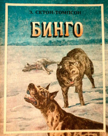 Бинго - Эрнест Сетон-Томпсон - Лучшие аудиокниги слушать онлайн бесплатно Новые аудиокниги mp3 (мп3) на сайте mp3-knigi-audio.com