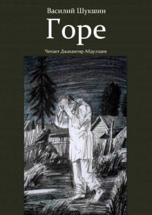 Горе - Василий Шукшин - Лучшие аудиокниги слушать онлайн бесплатно Новые аудиокниги mp3 (мп3) на сайте mp3-knigi-audio.com