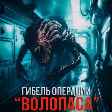 Гибель операции "Волопас"⁠⁠ - Автор неизвестен - Лучшие аудиокниги слушать онлайн бесплатно Новые аудиокниги mp3 (мп3) на сайте mp3-knigi-audio.com