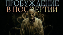 Пробуждение в посмертии - Зенон Тезарх - Лучшие аудиокниги слушать онлайн бесплатно Новые аудиокниги mp3 (мп3) на сайте mp3-knigi-audio.com