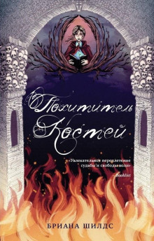 Похититель костей - Бриана Шилдс - Лучшие аудиокниги слушать онлайн бесплатно Новые аудиокниги mp3 (мп3) на сайте mp3-knigi-audio.com