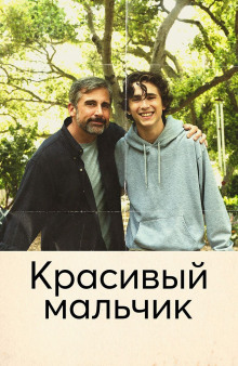 Красивый мальчик. Правдивая история отца, который боролся за сына - Шефф Дэвид - Лучшие аудиокниги слушать онлайн бесплатно Новые аудиокниги mp3 (мп3) на сайте mp3-knigi-audio.com