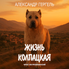 Жизнь колпацкая - Александр Гергель - Лучшие аудиокниги слушать онлайн бесплатно Новые аудиокниги mp3 (мп3) на сайте mp3-knigi-audio.com