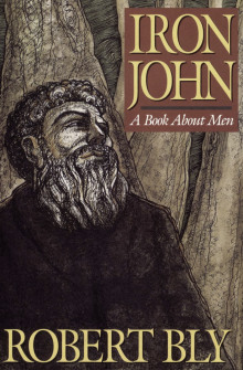 Железный Джон: книга про мужчин - Роберт Блай - Лучшие аудиокниги слушать онлайн бесплатно Новые аудиокниги mp3 (мп3) на сайте mp3-knigi-audio.com