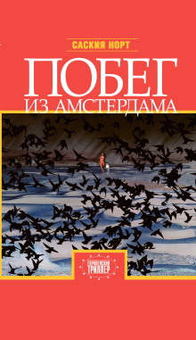 Побег из Амстердама - Саския Норт - Лучшие аудиокниги слушать онлайн бесплатно Новые аудиокниги mp3 (мп3) на сайте mp3-knigi-audio.com