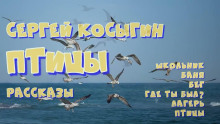 Сборник рассказов - Сергей Косыгин - Лучшие аудиокниги слушать онлайн бесплатно Новые аудиокниги mp3 (мп3) на сайте mp3-knigi-audio.com