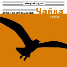 Чайка - Доминик Соколовский - Лучшие аудиокниги слушать онлайн бесплатно Новые аудиокниги mp3 (мп3) на сайте mp3-knigi-audio.com