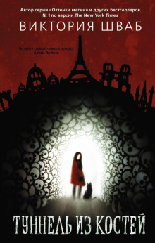 Туннель из костей - Виктория Шваб - Лучшие аудиокниги слушать онлайн бесплатно Новые аудиокниги mp3 (мп3) на сайте mp3-knigi-audio.com