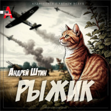 Рыжик - Андрей Штин - Лучшие аудиокниги слушать онлайн бесплатно Новые аудиокниги mp3 (мп3) на сайте mp3-knigi-audio.com