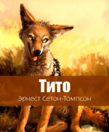 Тито - дочь степей - Эрнест Сетон-Томпсон - Лучшие аудиокниги слушать онлайн бесплатно Новые аудиокниги mp3 (мп3) на сайте mp3-knigi-audio.com